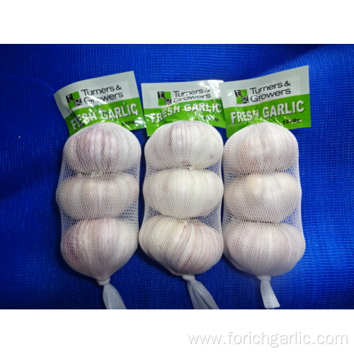 2019 The Best Normal White Garlic